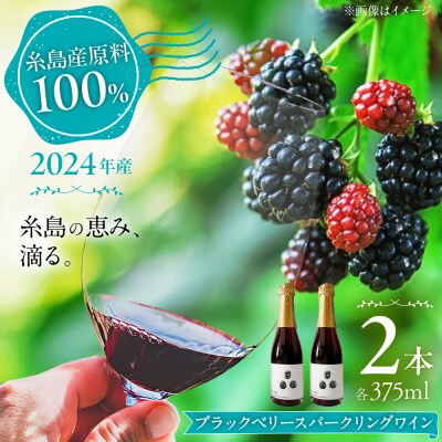 2024年産 糸島産ブラックベリースパークリングワイン 375ml 2本セット  [AHM003]