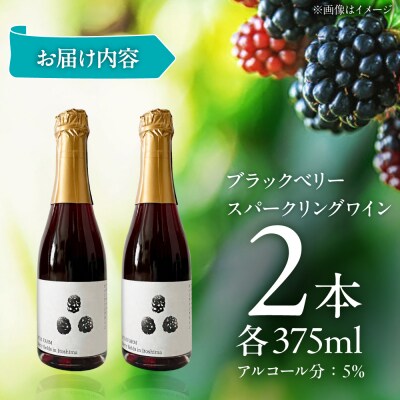 2024年産 糸島産ブラックベリースパークリングワイン 375ml 2本セット  [AHM003]