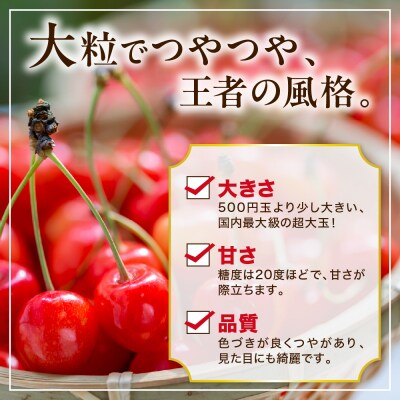 【先行受付】 令和8年産 さくらんぼ やまがた紅王 1箱 18粒 2L～3L玉 化粧箱入