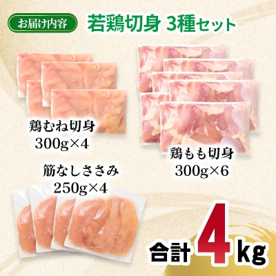 宮崎県産若鶏4kgセット もも肉 むね肉 筋なしささみ 小分け 14パック[2981]
