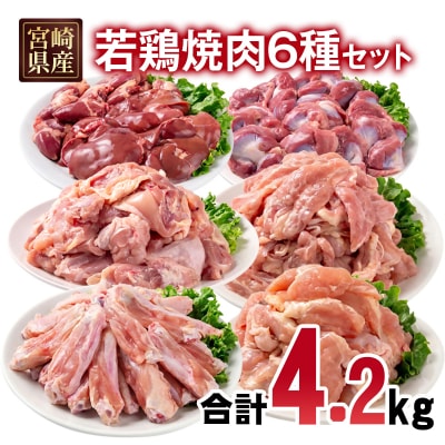 宮崎県産若鶏6種15パック合計4.2kgセット　鶏肉小分け[2979]