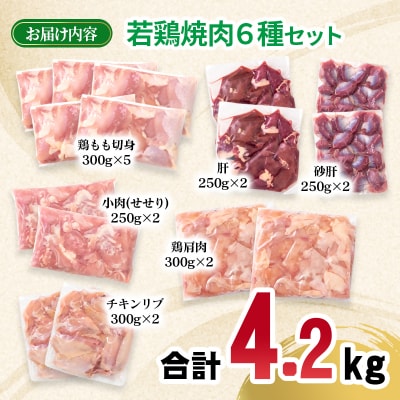 宮崎県産若鶏6種15パック合計4.2kgセット　鶏肉小分け[2979]