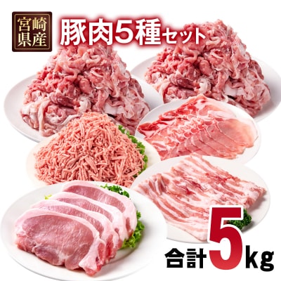 宮崎県産豚肉5種5kgセット(豚ロース/豚バラ/豚切り落とし/豚ミンチ)[2993]