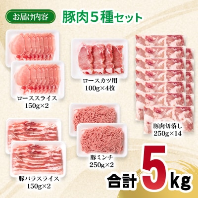 宮崎県産豚肉5種5kgセット(豚ロース/豚バラ/豚切り落とし/豚ミンチ)[2993]