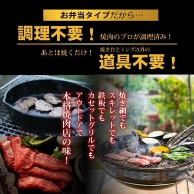 お肉のお弁当 ACセット [800g・約4～6人前][No5354-0737]