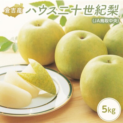 ハウス二十世紀梨【倉吉産】5kg(JA鳥取中央) 梨 果物 フルーツ