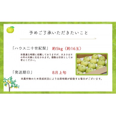 ハウス二十世紀梨【倉吉産】5kg(JA鳥取中央) 梨 果物 フルーツ