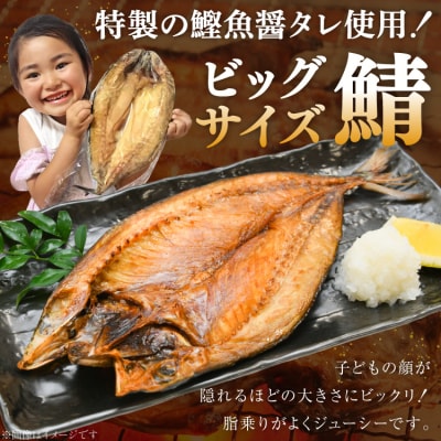 厳選魚種 干物 セット 約3kg 30枚入 [20564364] さば 鱈 アジ イワシ