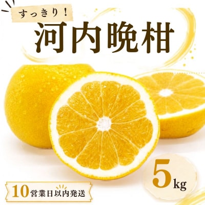 【10営業日以内発送】河内晩柑 ばんかん 約 5kg 家庭 すぐ届く マルエム直販 愛媛県 愛南町