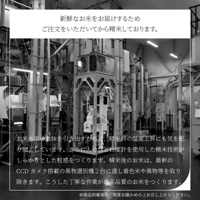 【7月下旬発送】米 10kg 5kg×2 あきたこまち 令和7年産 山形県産 無洗米