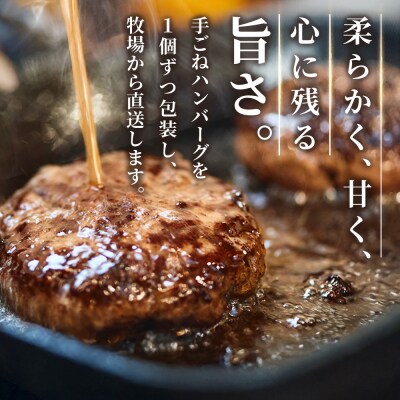 佐賀牛 赤身ブロック350g・柔らかハンバーグ4個(H122106)