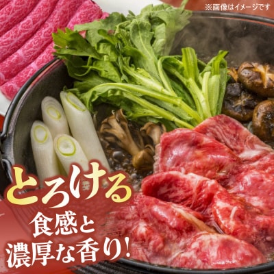 佐賀牛 すきやき用800g・柔らかハンバーグ4個(H122111)