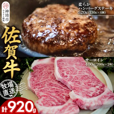 佐賀牛 サーロインステーキ2枚 柔らかハンバーグステーキ4個(H122128)