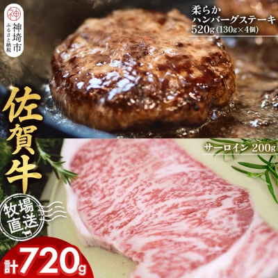 佐賀牛 サーロインステーキ1枚 柔らかハンバーグステーキ4個(H122129)