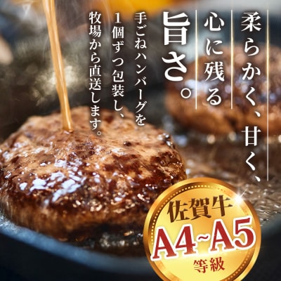 佐賀牛 サーロインステーキ1枚 柔らかハンバーグステーキ4個(H122129)