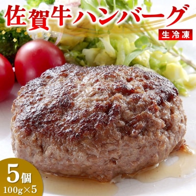 レンジで簡単調理!佐賀牛ハンバーグ(生冷凍)(H106201)