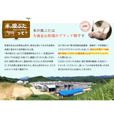 米の娘ぶたを使用した「米の娘餃子」 (30g×40個) 餃子 ギョウザ 金山町 F4B-0451