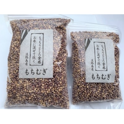 【マルジンファーム】淡路島 南あわじ産　もちむぎ(ダイシモチ)　1.5kg