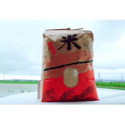 淡路島 南あわじ産(きぬむすめ)ともちむぎのセット