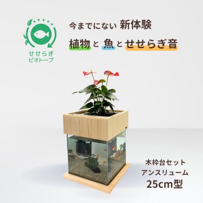 せせらぎビオトープ　25cm型基本+木枠台セット(アンスリウム)