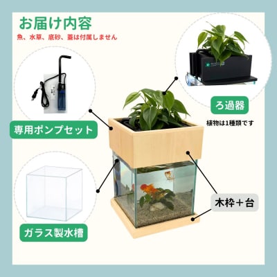 せせらぎビオトープ　25cm型基本+木枠台セット(ガジュマル+他1種)