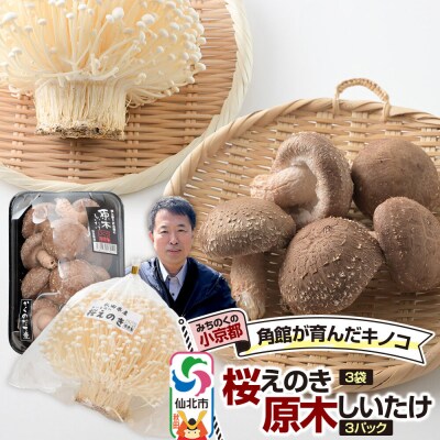 みちのくの小京都・角館が育んだ2種セット(桜えのき、原木しいたけ)生|02_sne-050101
