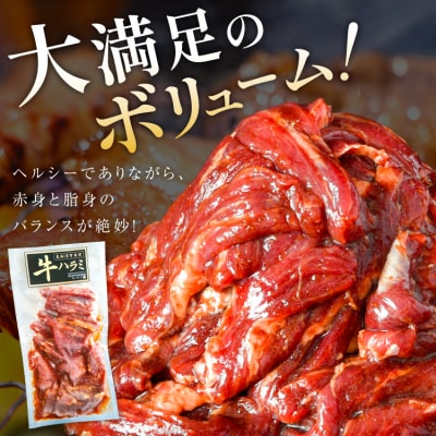 大人気!特製タレ漬 牛ハラミ 計900g (300g×3p) [モ～ランド 20564312]