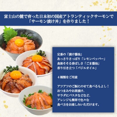 【新登場!!】小山町産 アトランティックサーモン 漬け 丼 食べ比べセット (4種×各1P)