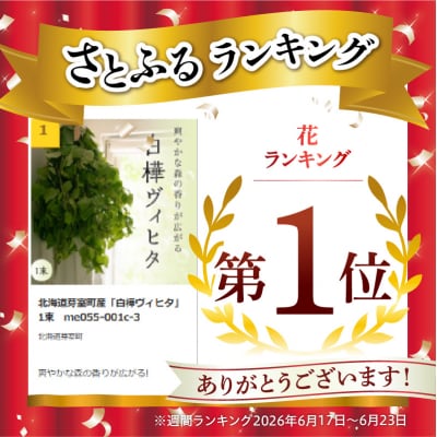 北海道芽室町産「白樺ヴィヒタ」1束　me055-001c-3