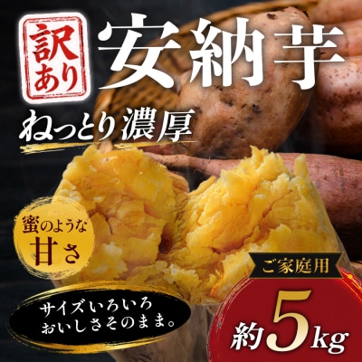 【訳あり】さつまいも 熟成 安納芋 約5kg 国産 安納いも スイーツ おやつ 栽培期間中農薬不使用