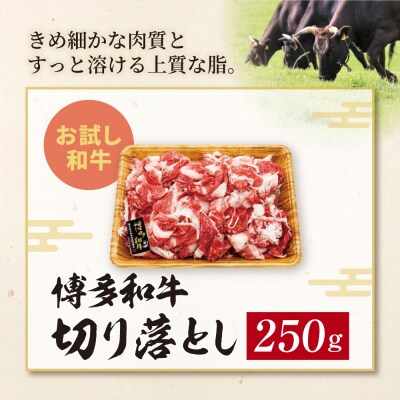 博多和牛A4ランク以上 切り落とし 250g