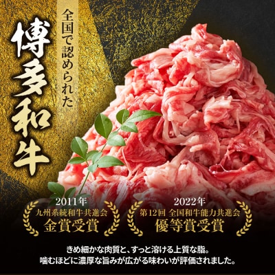 博多和牛100%ミンチ(挽肉)【訳あり】900g(300g×3個)