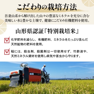 令和7年産 米沢米 4品種 2合詰め合わせセット 計4.8kg