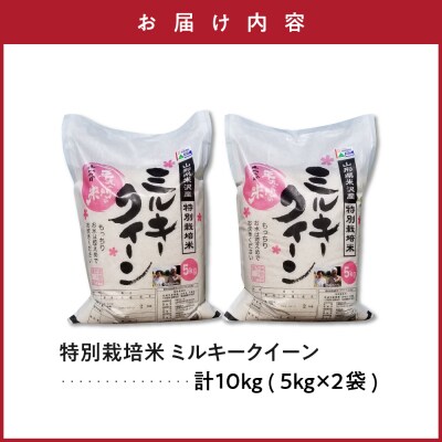 令和7年産 特別栽培米 ミルキークイーン 10kg ( 5kg×2袋 )