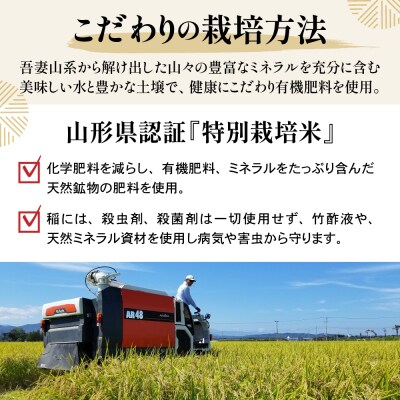令和7年産 特別栽培米 雪若丸 2合 8袋 セット ( 1袋 300g ) 計2.4kg 