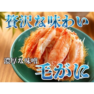 オオズワイガニと毛ガニの蟹比較べセット　各1杯【広尾産業流通振興公社】(0132)