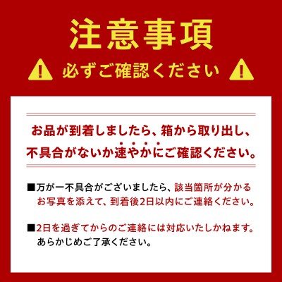 季節のお花4種類～7種類使用　季節のフラワーアレンジメント[142F02]