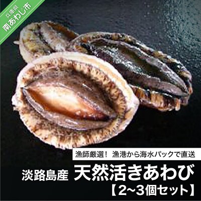 漁師厳選!淡路島産天然活きあわび(2～3個)