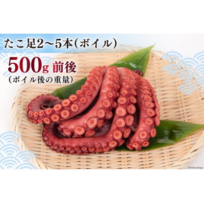 タコ 三陸産 浜ゆでだこ 約500g [村東商店 宮城県 気仙沼市 20564846]