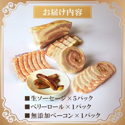 【ながさき雪の浦手造りハム】冷凍セット B