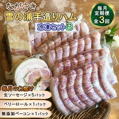 【毎月定期便】【ながさき雪の浦手造りハム】冷凍セット B　全3回