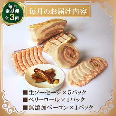 【毎月定期便】【ながさき雪の浦手造りハム】冷凍セット B　全3回