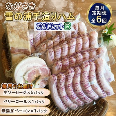【毎月定期便】【ながさき雪の浦手造りハム】冷凍セットB　全6回