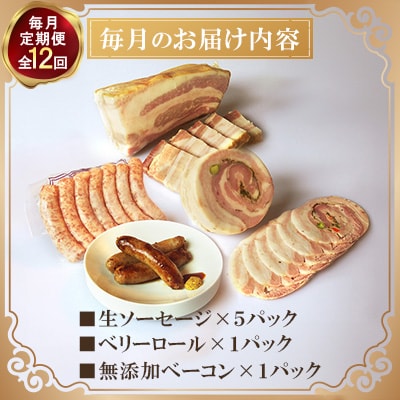 【毎月定期便】【ながさき雪の浦手造りハム】冷凍セットB　全12回