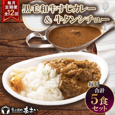【毎月定期便】【ご自宅用】黒毛和牛すじカレー&牛タンシチュー 5食セット全12回