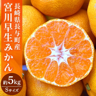 長崎県長与町産　宮川早生みかん　Sサイズ　約5kg