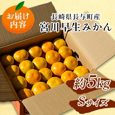長崎県長与町産　宮川早生みかん　Sサイズ　約5kg