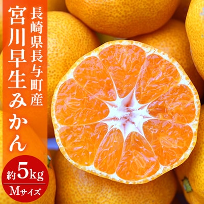 長崎県長与町産　宮川早生みかん　Mサイズ　約5kg