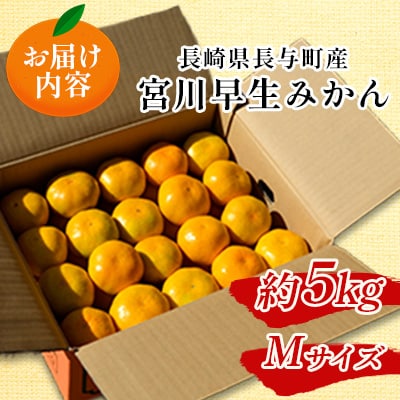 長崎県長与町産　宮川早生みかん　Mサイズ　約5kg