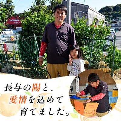 長崎県長与町産　宮川早生みかん　Mサイズ　約5kg